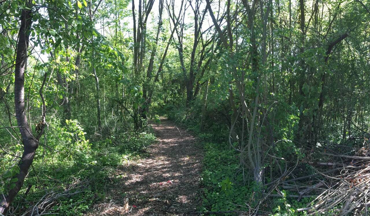 Espace naturel sensible - bois