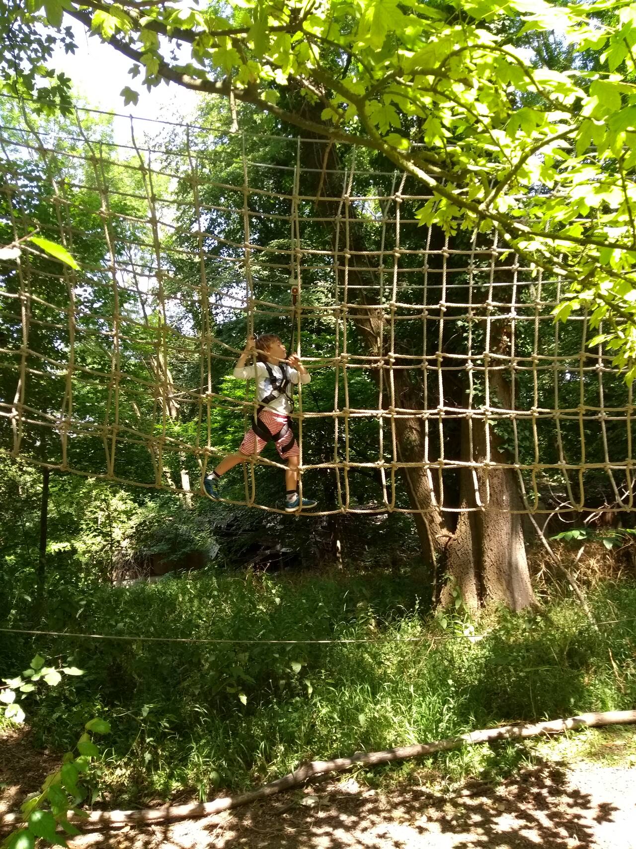 modèle de parcours accrobranche modèle de parcours d'accrobranche