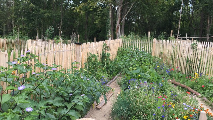 Jardins familiaux site des Platrières 7