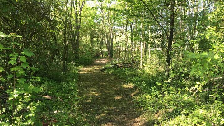 Chemin espace naturel sensible