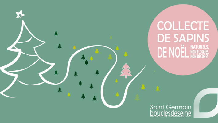  - Recycler votre sapin de Noël