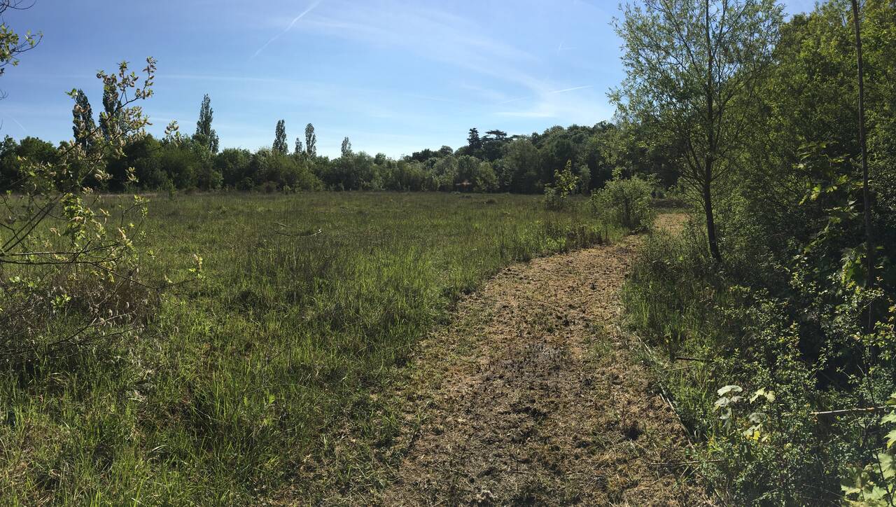 Espace naturel sensible - champs Espace naturel sensible - champs