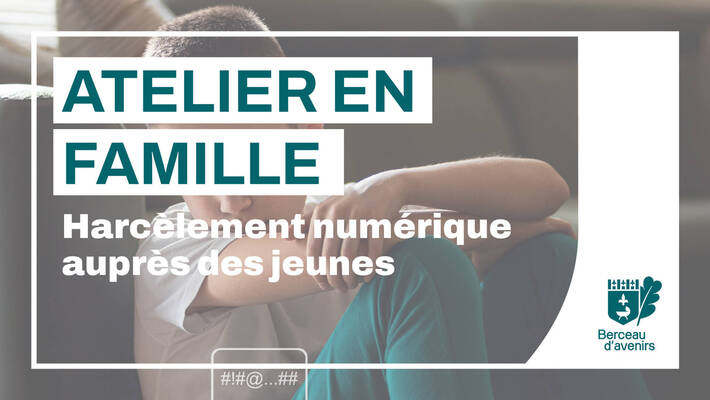  - Le harcèlement numérique auprès des jeunes