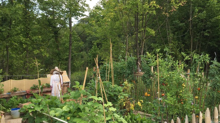 Jardins familiaux site des Platrières 6