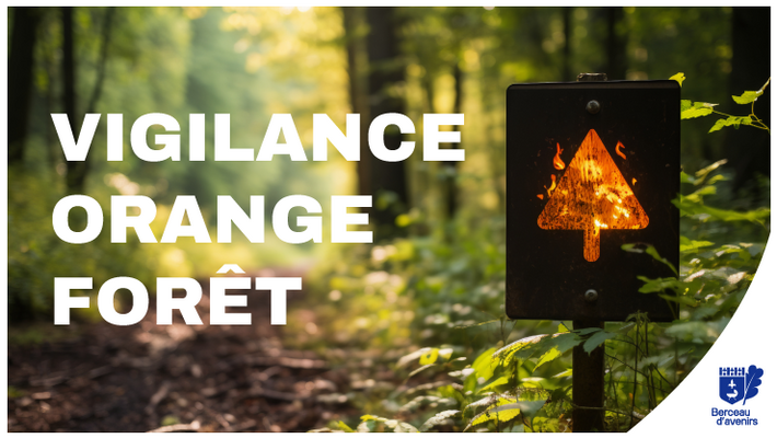  - 🚨 Vigilance Orange Incendie : Protégeons notre Forêt Domaniale et respectons les restrictions 