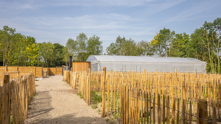 Jardins familiaux