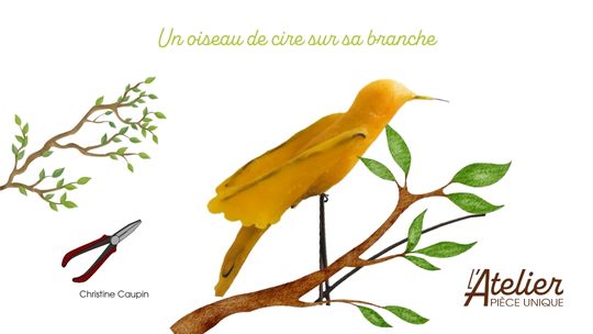 Un oiseau en cire sur la branche