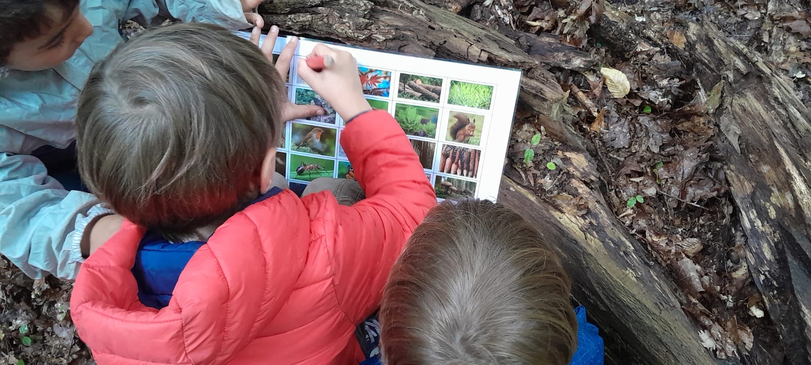 Stage enfants en forêt