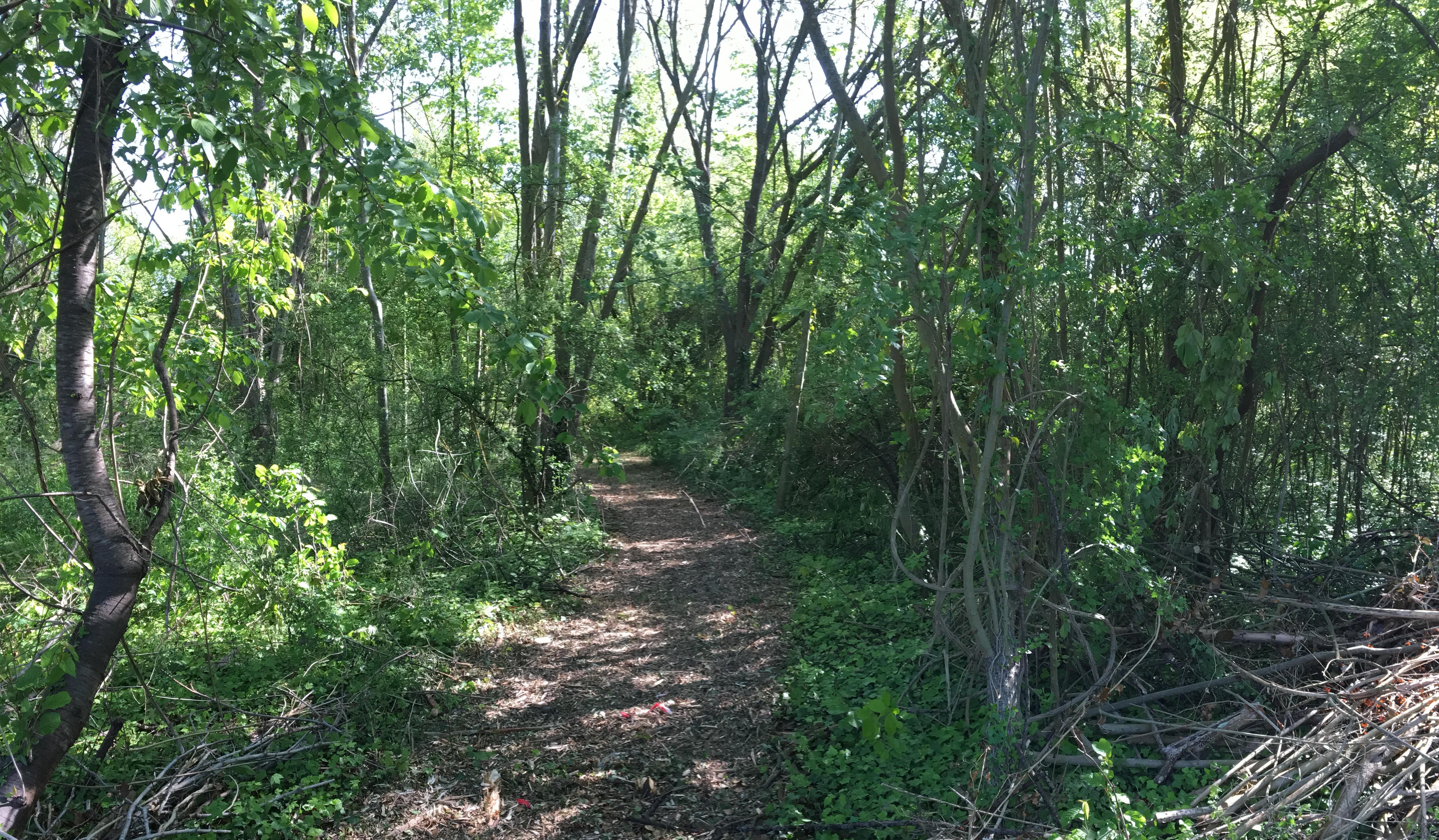 Espace naturel sensible - bois Espace naturel sensible - bois