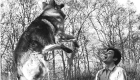 Conférence : Alain Delon «Pour l'amour des chiens»