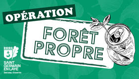 Opération forêt propre